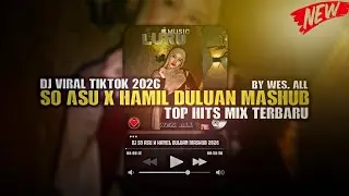 DJ SO ASU X HAMIL DULUAN MASHUB 2026 BY WES ALL 
