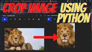 how to crop a image using python (python pillow tutorial #3)
