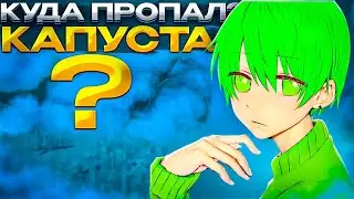 Куда Пропал Капуста? (и почему)