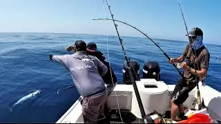 Can't Believe we didn't lose these Fish!  EPIC Wahoo Fishing!  VERY Sharp Teeth!!