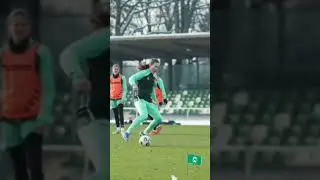 mara alber merapat ke Werder Bremen