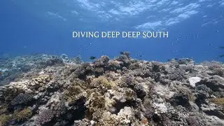 EGYPT. Diving Deep Deep South