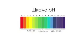 Что такое Ph?