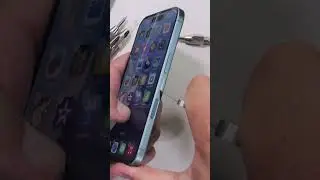 Apple got everyone to agree on one thing...