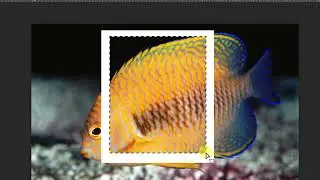 How to Create 3D photo Frame Effect | Photoshop Tutorial | 3D Frame