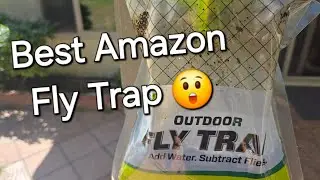 How to catch Flies w just WATER Best Amazon Fly Trap 20,000 caught No MESS Easy Clean Up