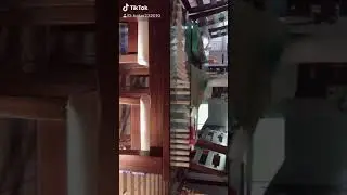 Domino jenga