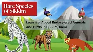 Endangered Birds and Animals of Sikkim : Assignment of Endangered Species of Sikkim in India