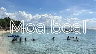 Made it to Moalboal