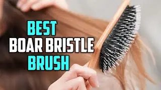 Top 5 Best Boar Bristle Brushes for Dry, Curly, Thin & Straight Hair Reviews 2023 [RANKED]