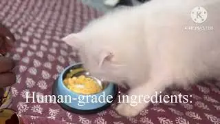 #pink pawpal coat and muscle pets supplement/ cats funny video/tasty,healthy powder fr cats & dogs