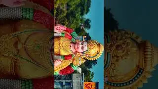 &ldquo;This Is Tamil Nadu 🌾❤️ | Pongal Vibes You&rsquo;ll Feel&rdquo;#Tamakulavlogs #Asmr #Shorts #Viral #Triootales