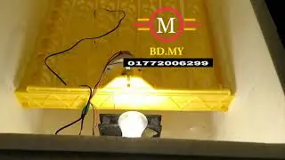How do you use a 56 egg incubator