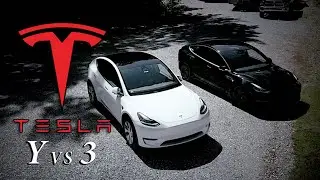 WHICH TESLA?: Model Y VS 3