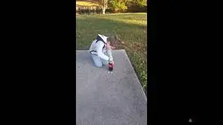Mentos and coke challenge but with meme sounds