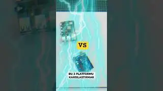 ARDUINO? vs RASPBERRY PI?