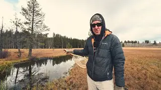 Fly fishing for California's most remote trout species