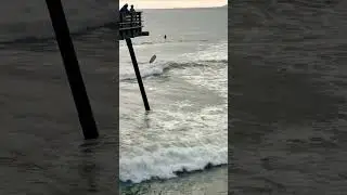 #surfing #surfingday #pacificocean #ocean #pismobeach  #august2022 #waves #shorts
