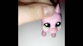 Sourozenci|LPS Yuskaii