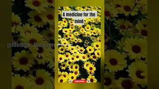 reshaping the mind😍 #flowers #flower #nature #naturelovers #usa #best #viral #viralvideo #shortvideo