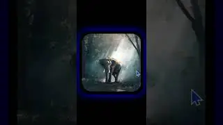 hover effect on image in html css | link in description 