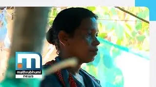 Homeless Mom and Son Live In Goat-Shed In Kottayam| Mathrubhumi News
