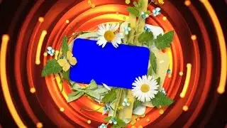 Photo frame blue screen background hd free stock | Wedding video background | DMX HD BG 150