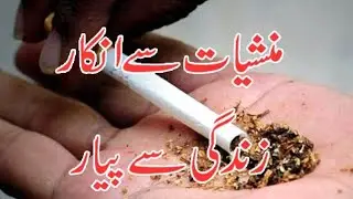 ANF ​Pakistan | anti narcotics force pakistan |  Arts council Karachi | ANF | Pak exclusive tv