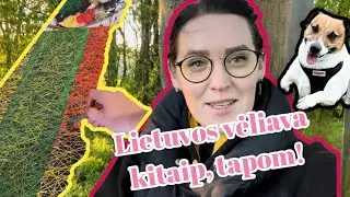 Triukai akrilu.Reikia tik mai&scaron;elio