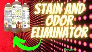 Stain and Odor Eliminator &ndash; Enzyme Concentrate &ndash; Review 2022