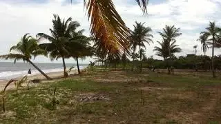 False Bluff North Clearing Land