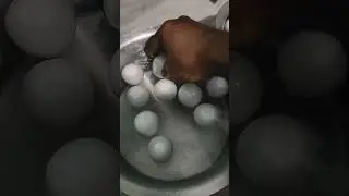 Rotten eggs distribution by anganwadi