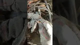 Double the life of your spark plugs