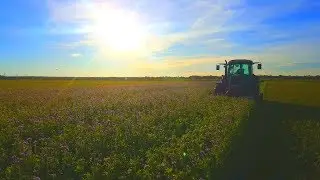 Mulchen mit Fendt