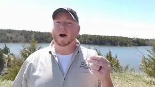 Recycling Fishing Line