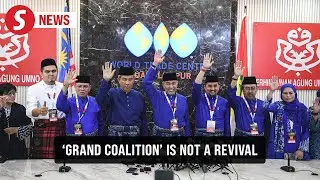 Umno AGM: 'Grand coalition' not a revival of Muafakat Nasional, says Zahid