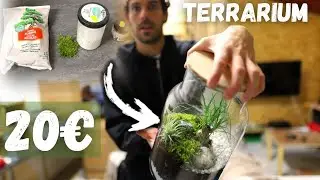 Cr&eacute;er son terrarium SOIS MEME ! ( PAS CHERE )