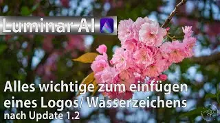Luminar AI - Alles wichtige zum einfügen eines Logos / Wasserzeichens nach Update 1.2