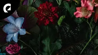 Anna Landstr&ouml;m - Indelible