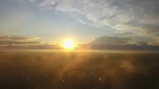 Foggy Dawn Stock Video