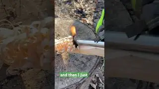 One Stick Fire ​⁠@TAOutdoors #bucees #moraknives #bushcraft #survival#fire