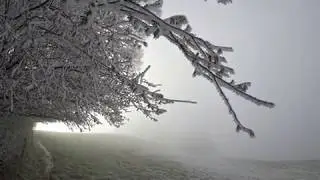 Winterzauber im Naturpark Gantrisch von  R&uuml;schegg-Heubach nach Schwarzenburg