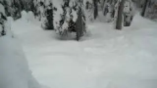 Whistler Secret Tree Spot Actually Blackhomb- CHAKA BRO!!
