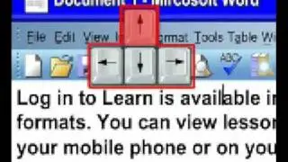 Equal Skills Module 4  - Word  Insertion Point