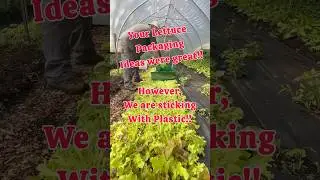 We are going to still use plastic bags!! #regenerativeagriculture #garden #ecofarming #ecocommunity