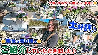 とっても素敵で可愛い♪【サンプル寄せ植え】を見ながらパンジービオラをご紹介♪今後のご参考に✨🤩 ローズガーデンカネコさん