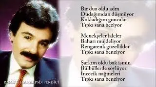 Ferdi Tayfur - Sana Benziyor 2023 .( Altyapı & Karaoke )