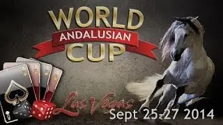 2014 Andalusian World Cup Vegas Functionality Tests