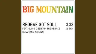 Reggae Got Soul (Amapiano Version) (feat. Quino & Beniton the Menace)