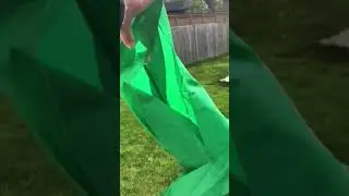 Collecting 1